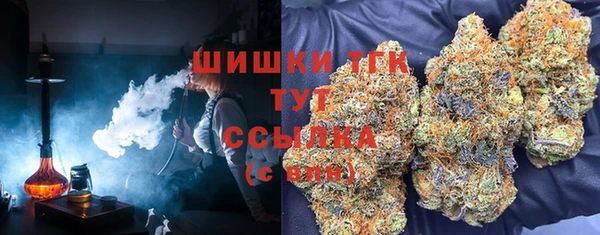не бодяженный Горно-Алтайск